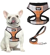 PUPTECK Soft Mesh Dog Harness and Leash Set Pet Puppy Cat Comfort Padded Vest No Pull Harnesses, ...