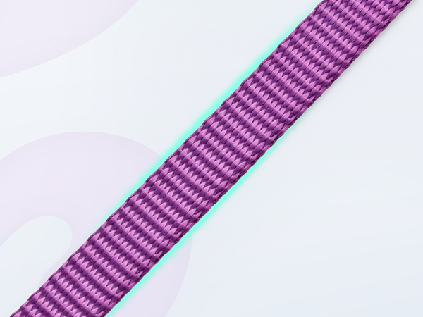cat harness