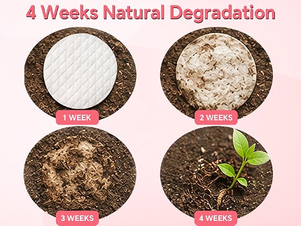 4 Weeks Natural Degradation