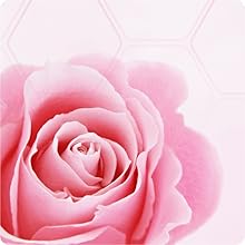 Teakwood + Rose