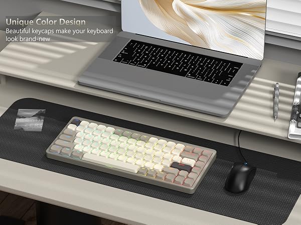 Low Profile Keycaps - Shine Through PBT Key caps