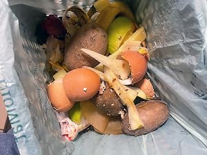 Compost bin with bag that shows food waste