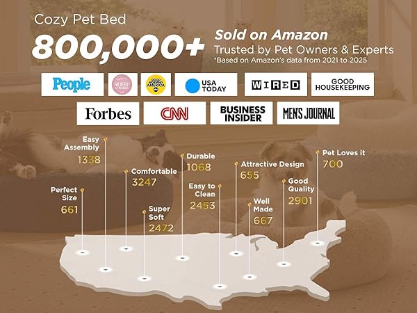 dog bed