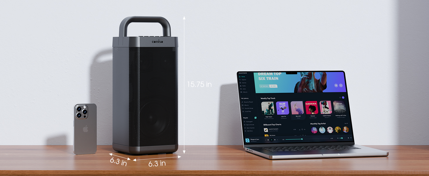 outdoor speaker