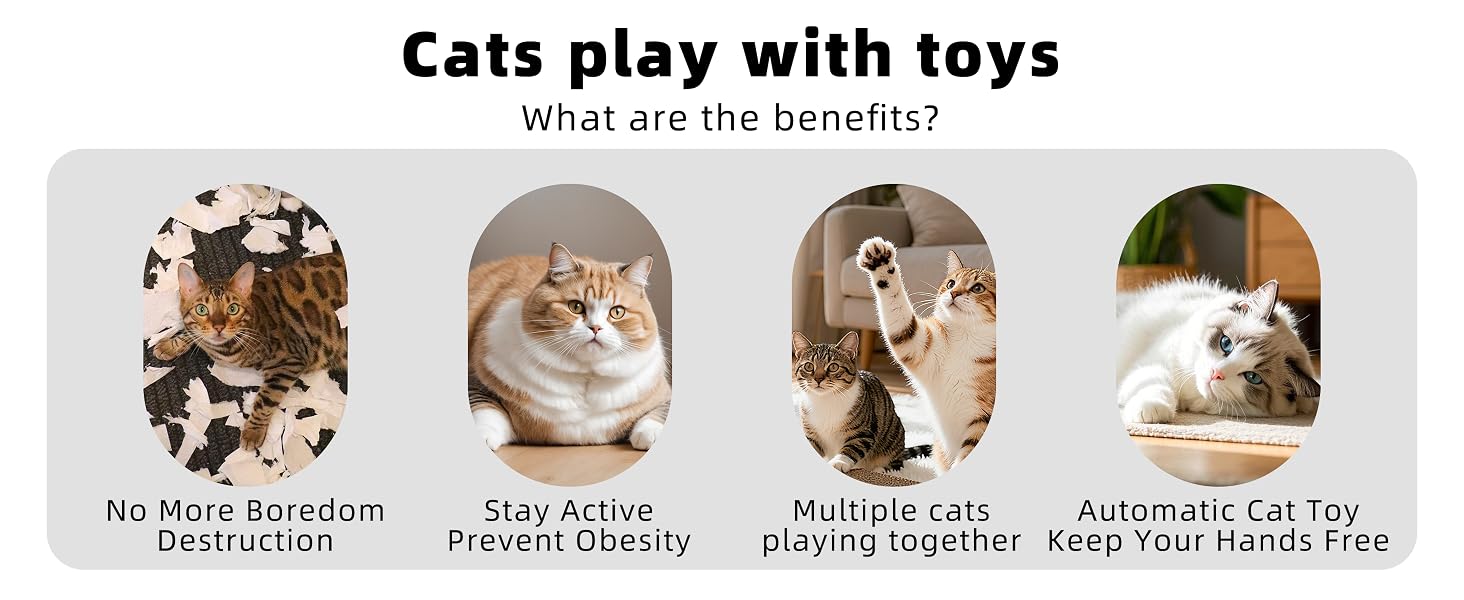 Interactive Cat Toy, Peek-a-Boo Series – Hidden Feather Wand, Rechargeable Indoor Hunting Toy