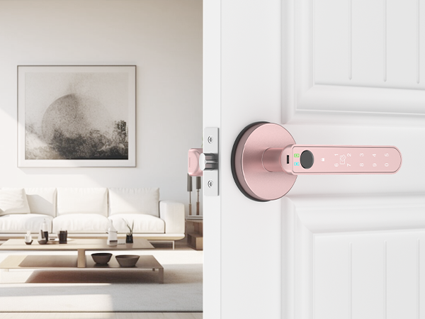 Living Room Door Lock