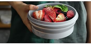 travel bowl