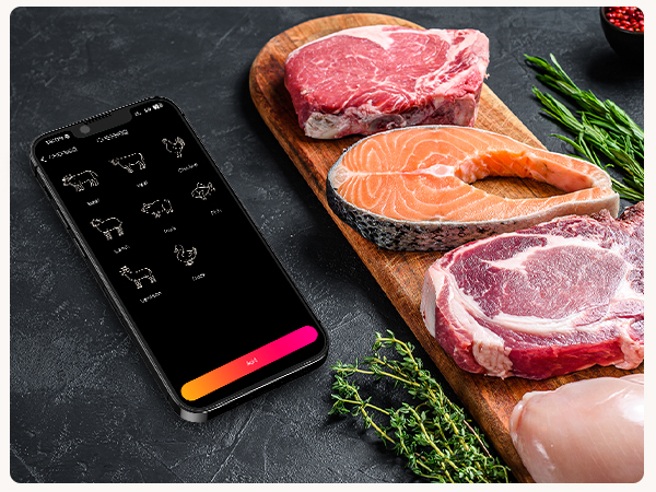 bluetooth meat thermometer