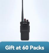 RT29G
