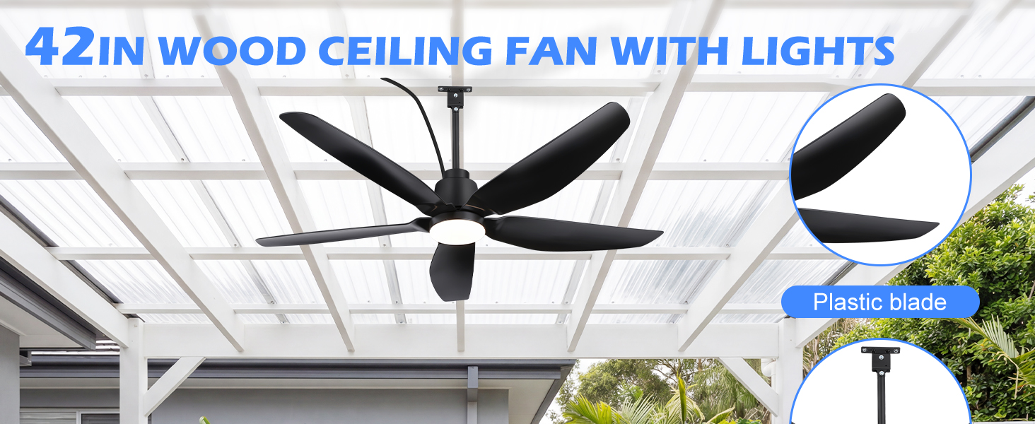 ceiling fans with lights