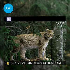 P60 deer camera 2.4in color screen