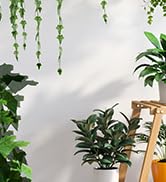 Furshus Bamboo Plant Stand - Indoor/Outdoor 3 Tier Plant Ladder, 8 Potted Flower Holder, Natural