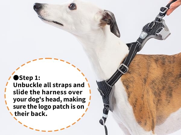 escape proof dog harness