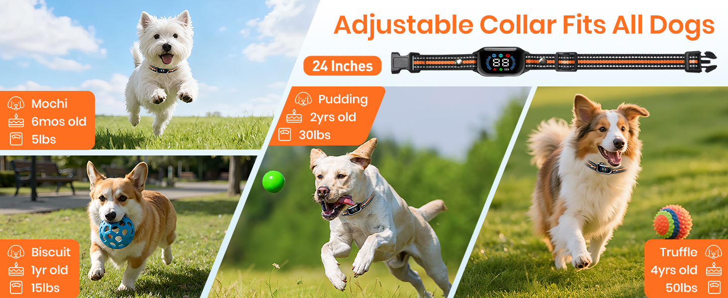 shock collars for large dogs bark collar shock dog collar shocker with remote shock collar for dog