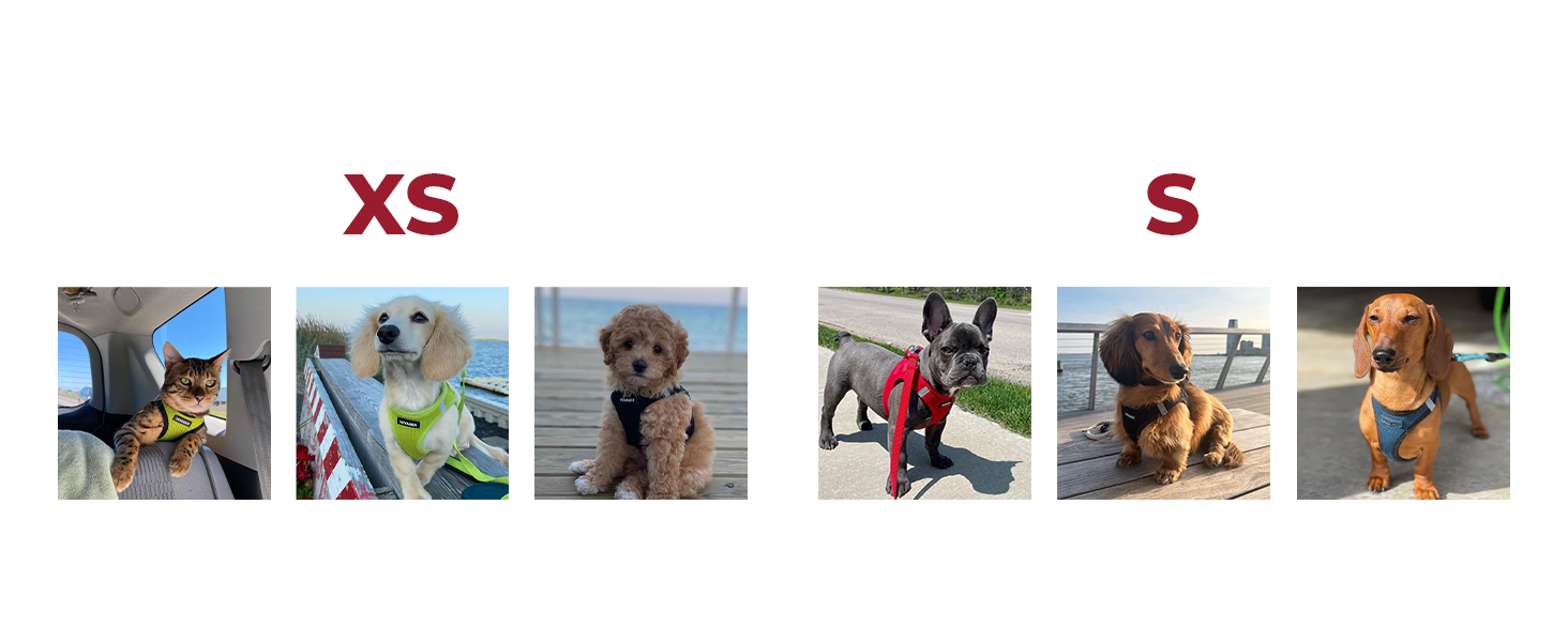front pull harness for dogs