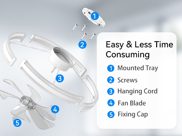 Ceiling fan