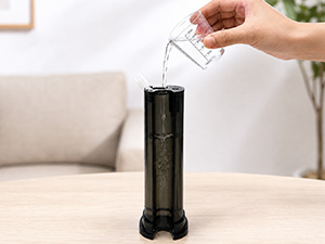 portable travel steamer