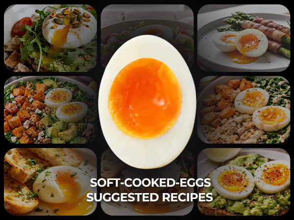 eggs boiler