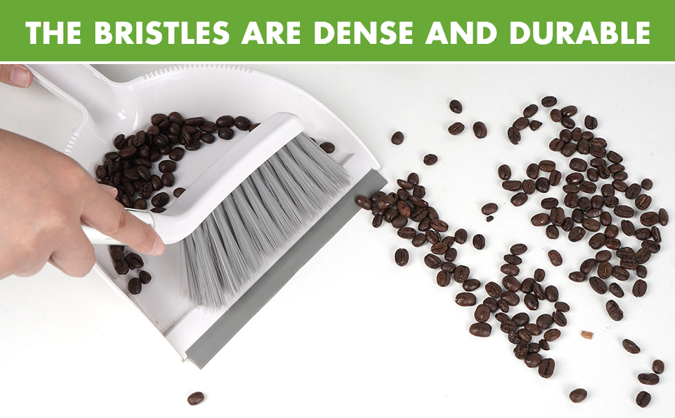 Mini Dustpan and Brush Set