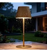 SAIWEYA Cordless Table Lamp DIY, 2500mAh Rechargeable & Flexible Desk Lamp, Stepless Dimming Mode...