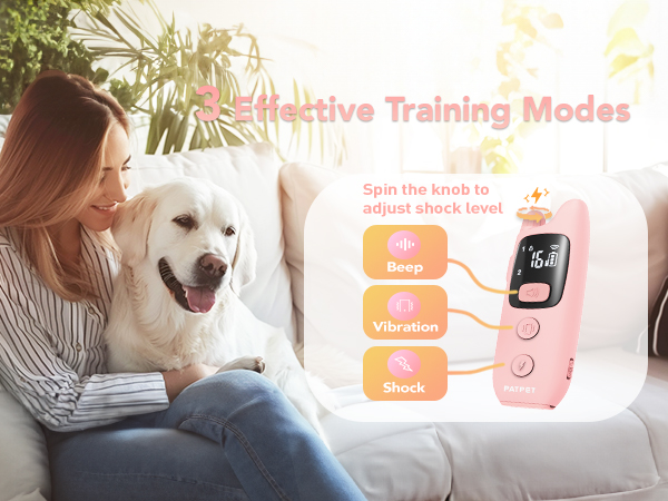 small dog shock collar