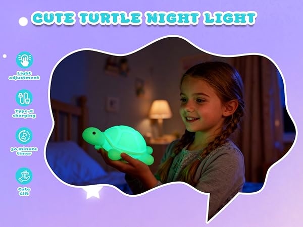 turtle gifts
