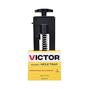 Victor Deadset Mole Trap