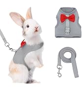 AIITLE Bunny Harness and Leash Set with Cute Bow, Soft Breathable Mesh Vest Harness for Rabbits K...