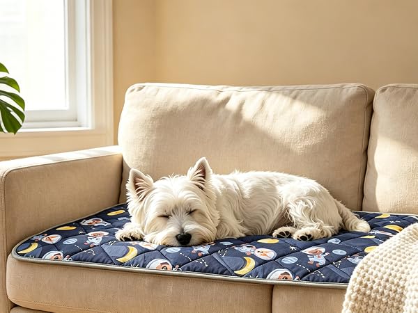 cooling blanket for dogs dog cooling pads or mats cooling blanket for dog