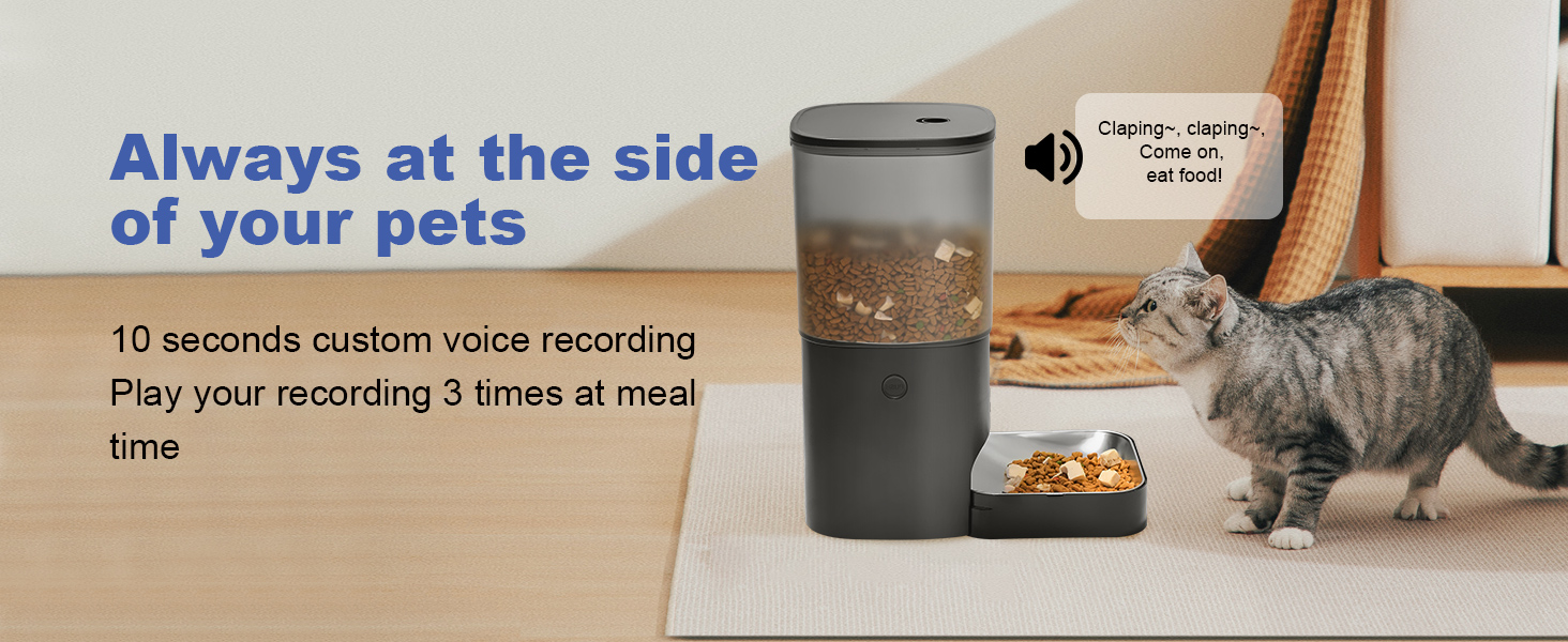 automatic cat feeder with voice call
