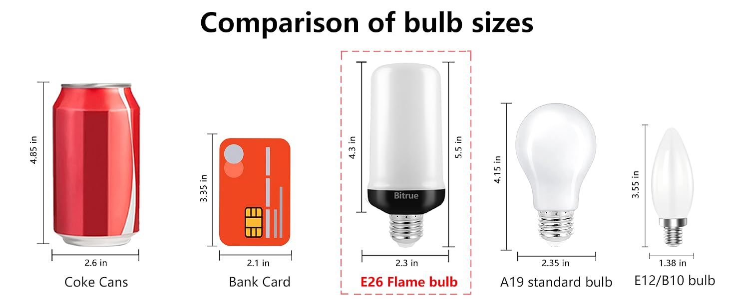 Comparison of bulb sizes