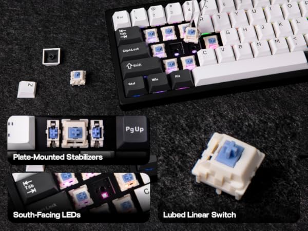 Mechanical keyboard components: white keycaps with colorful designs, plate-mounted stabilizers, south-facing LEDs, and a lubed linear switch. Keyboard partially visible on dark surface.