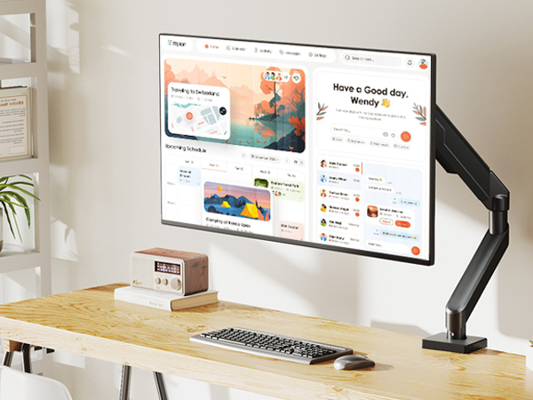 monitor arms