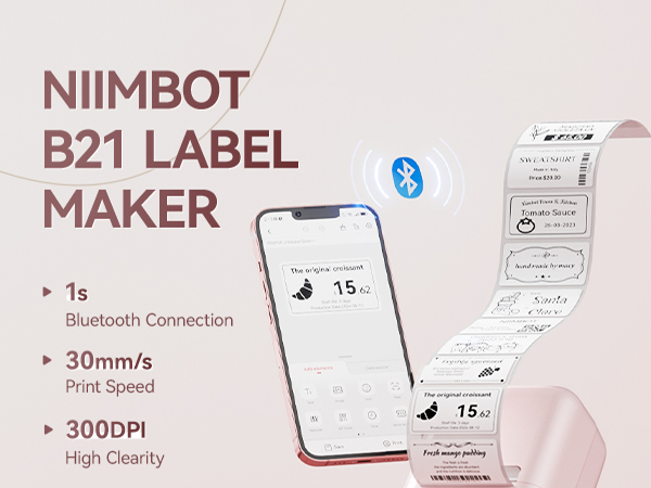 NIIMBOT B21 Pink Label Maker