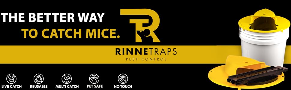 A+ Content Banner
