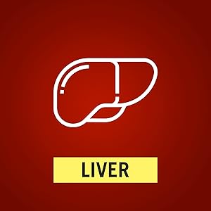 Liver