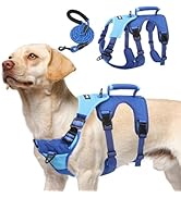 PUPTECK Escape Proof Dog Harness and Leash Set Upgraded No Pull Reflective Dog Vest with Lift Han...