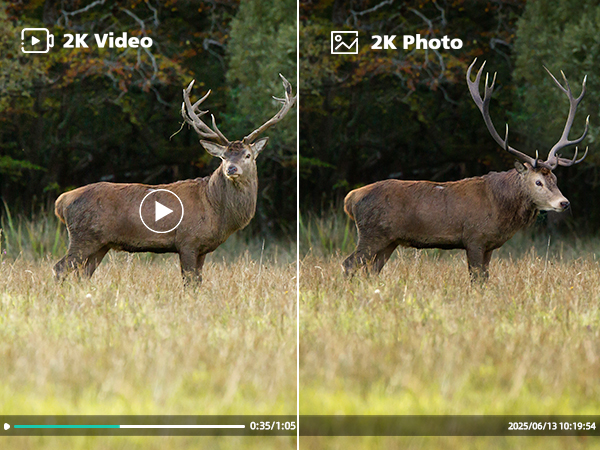 cellular trail camera with live feed,wildlife camera,deer camera