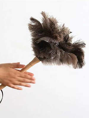 Feather Duster