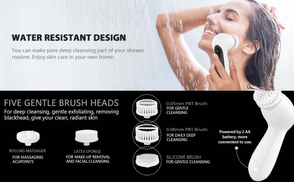 face brush