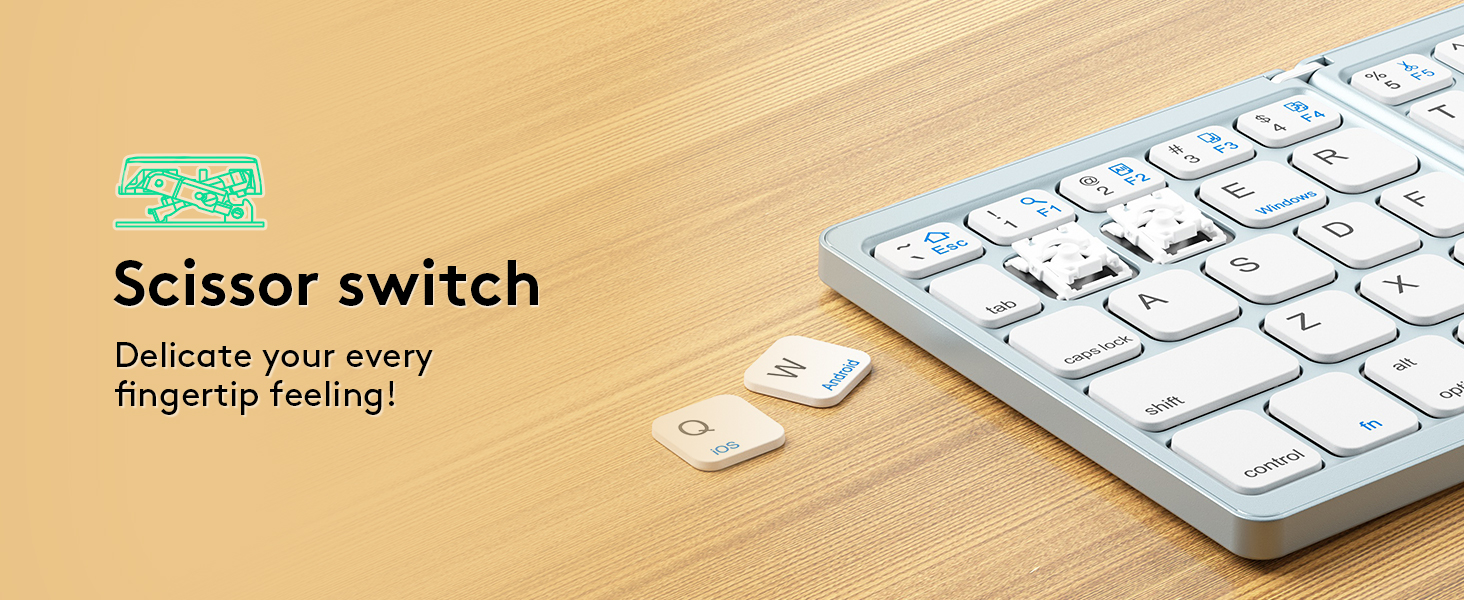 Scissor Switch