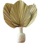 Natural Large Dried Palm Leaves-3 Pcs 17.7 Inch Dried Palm Spears Plant for Boho Style Art Wall H...