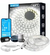 DAYBETTER Smart WiFi White Led Strip Lights 50 ft with Control Box, 6500K, Dimmable White Led Lig...