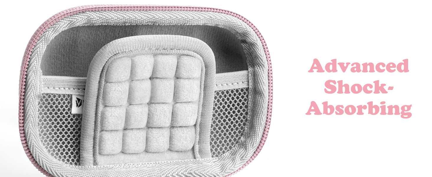 digital camera case