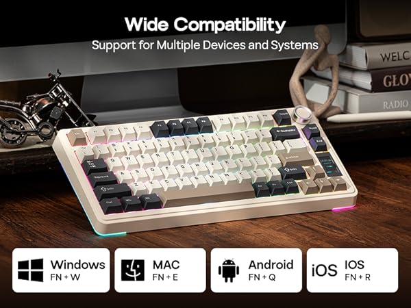 EA75 MAX Wireless Mechanical Keyboard
