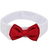 ZTON Handcrafted Adjustable Formal Pet Bowtie Collar Neck Tie for Dogs & Cats (S, Red)