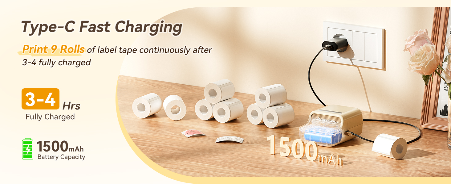 niimbot b21 pro label maker type c fast charging