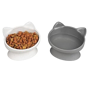 Cat Bowls