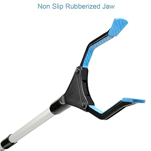 Jaw