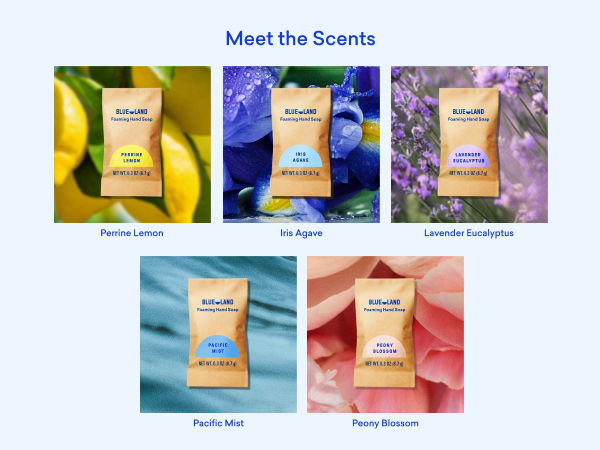 Meet the Scents